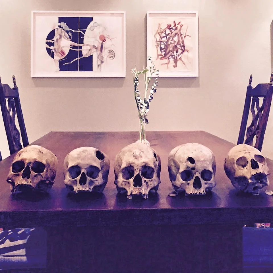 Ancient Skulls from Peru in the collection of the IMSS