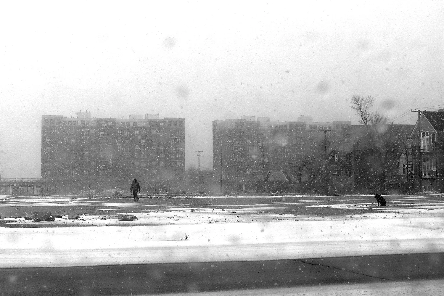 First Chicago snowfall of winter. Photography by Eddie Quinones.