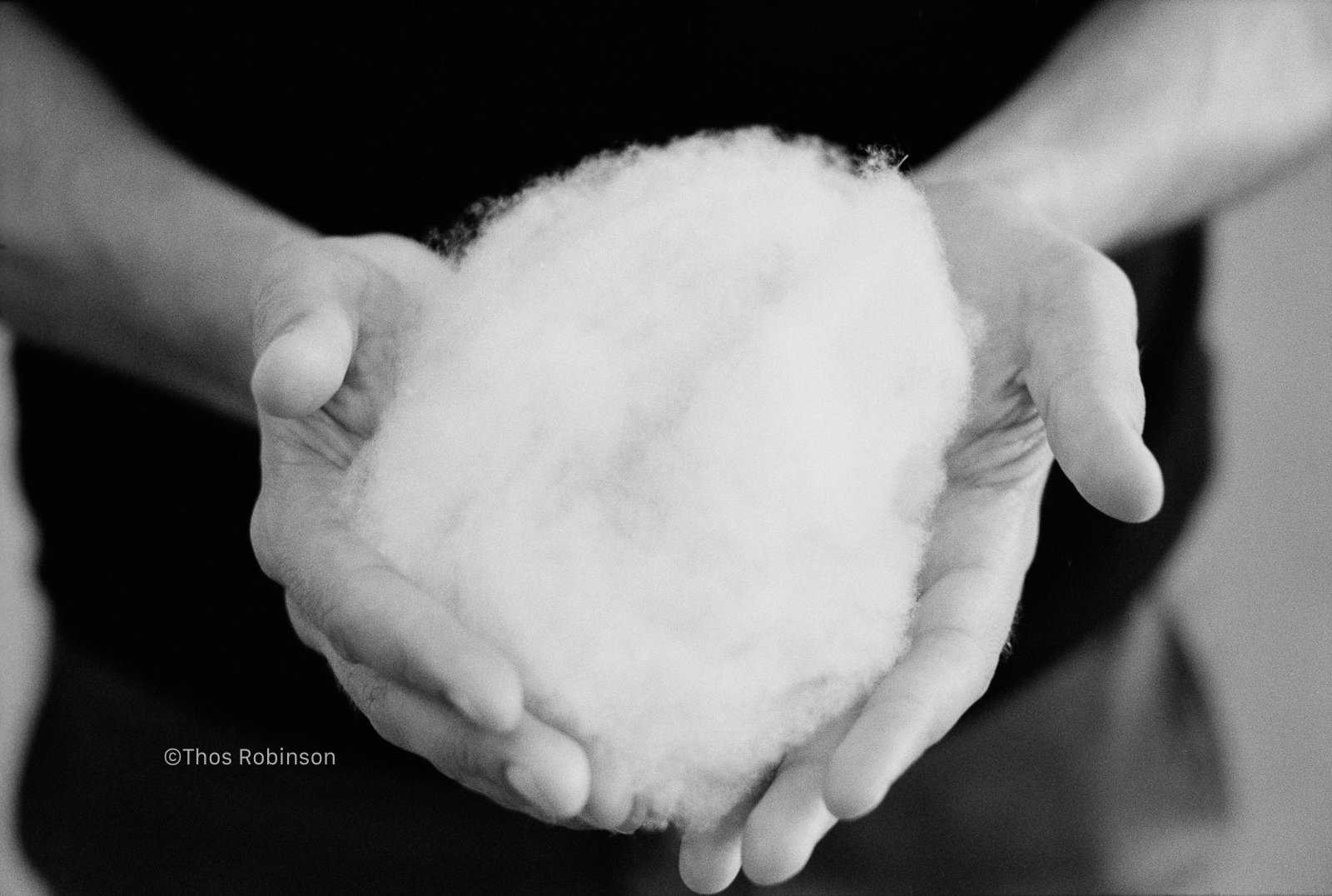 wool in Nick's hands 2.jpg