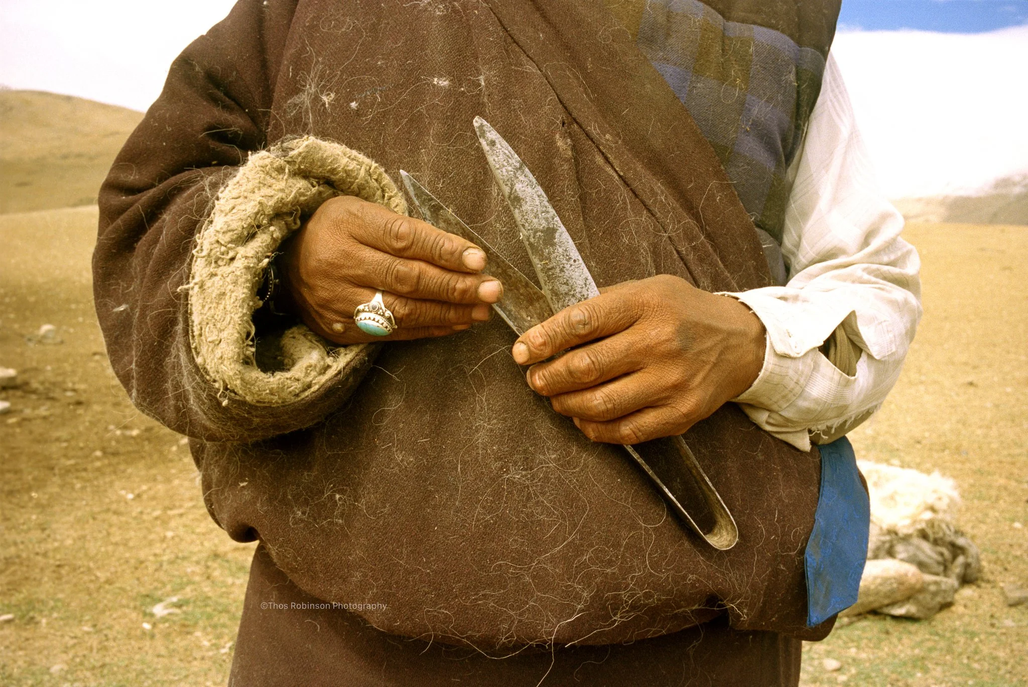 Ladakh nomad shearing clips.jpg