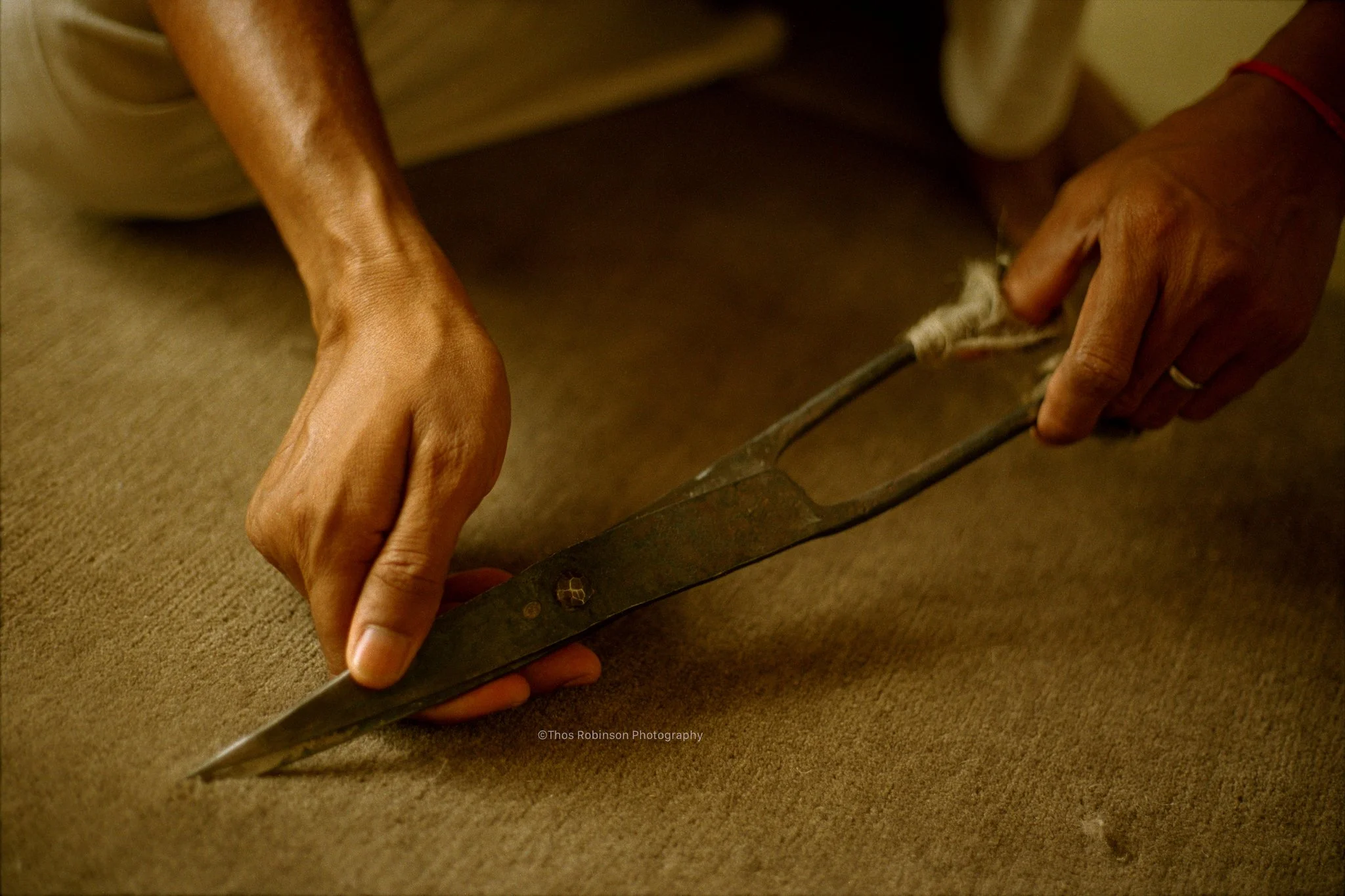 lotus worker shearing 4.jpg