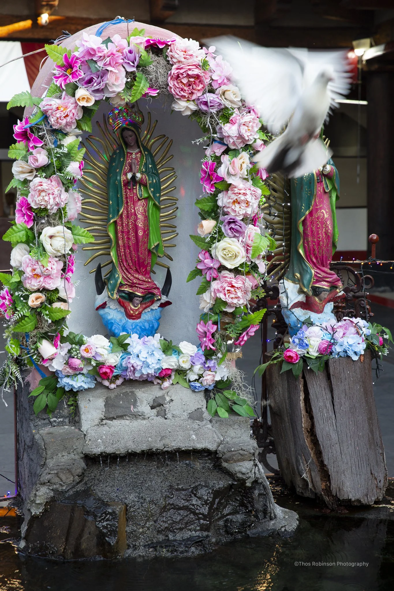  Uruapan. Michoacán, Mexico 