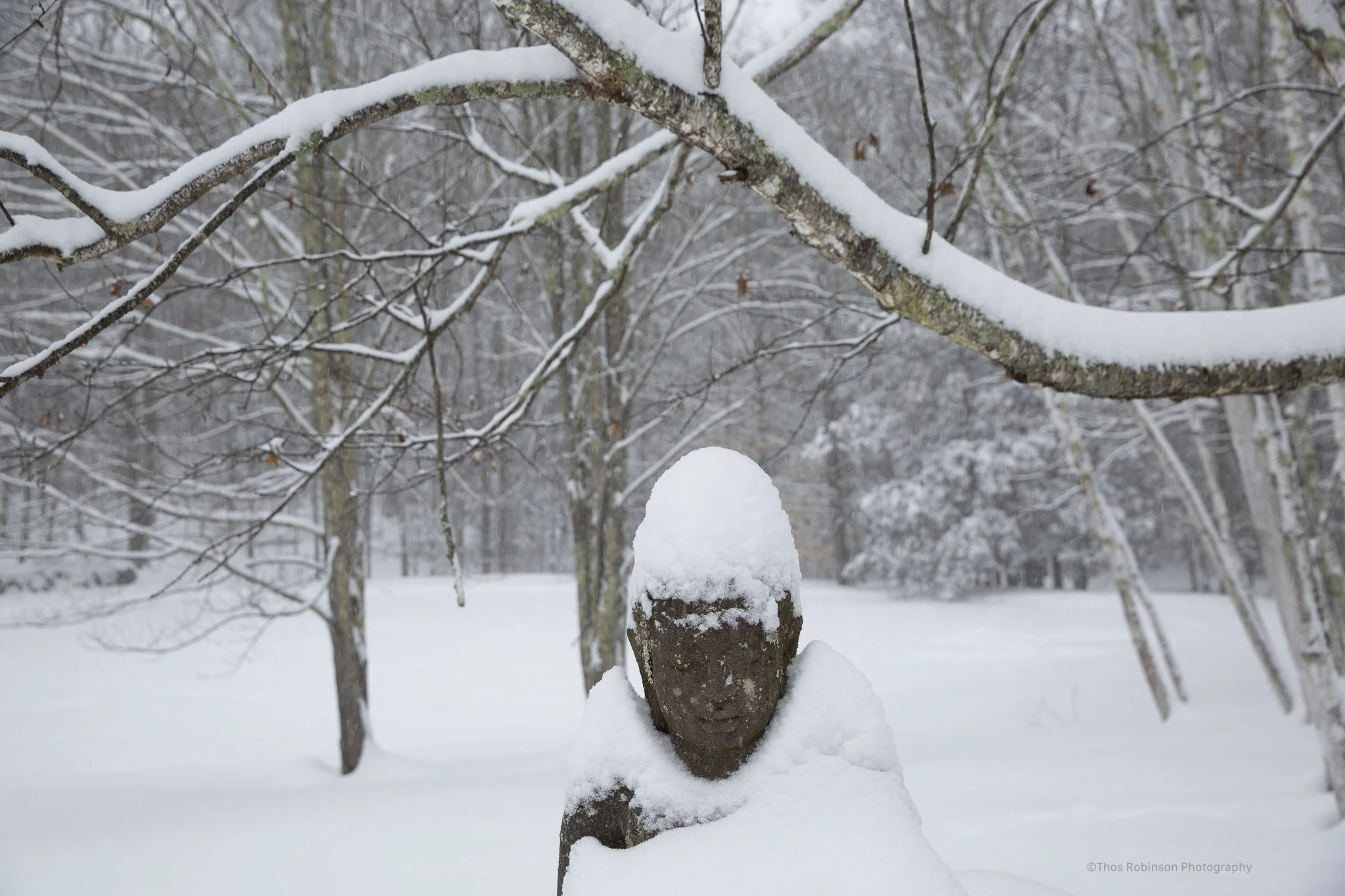  Stone Ridge, New York  