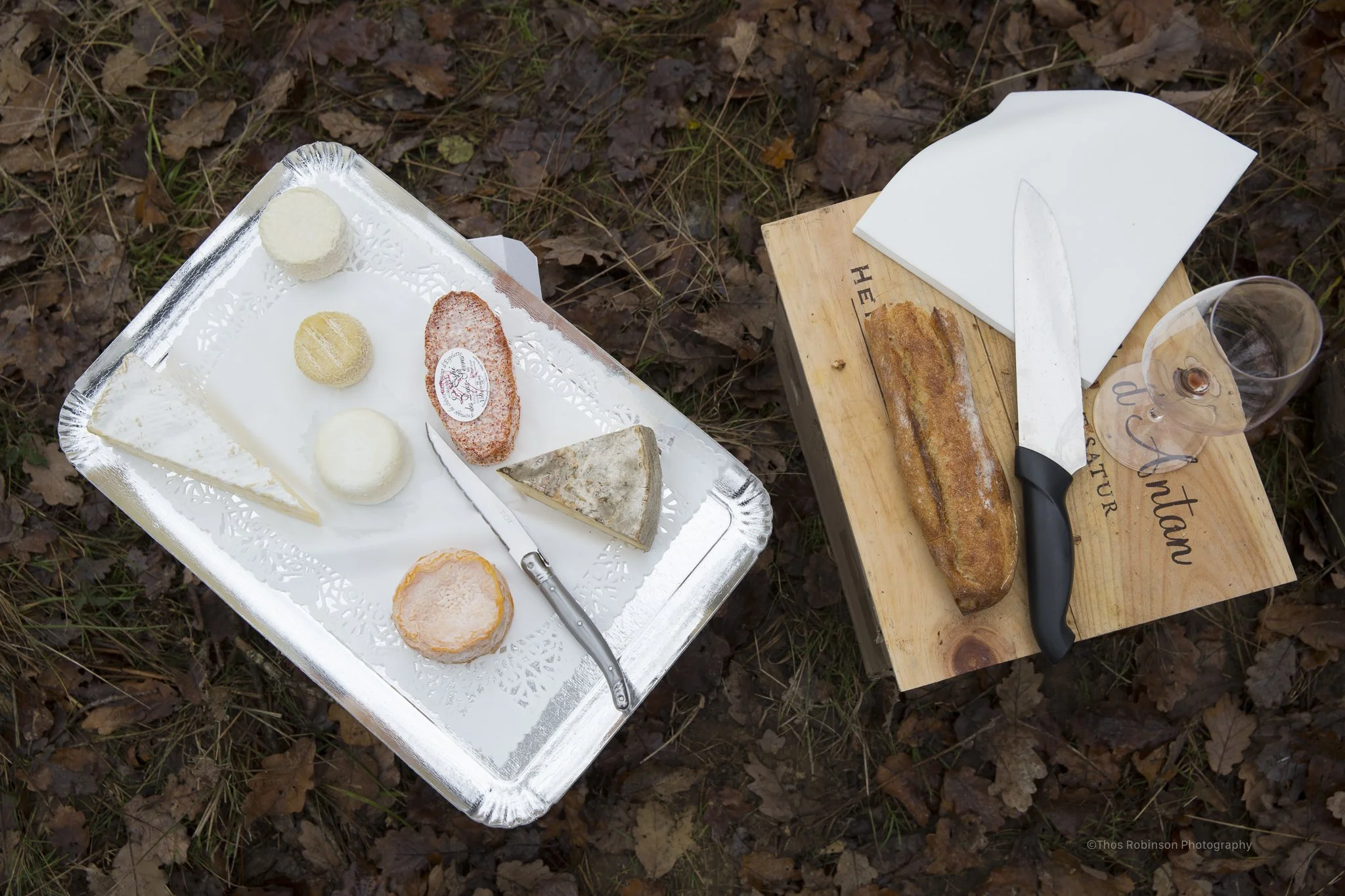  Forests of Allier, France  