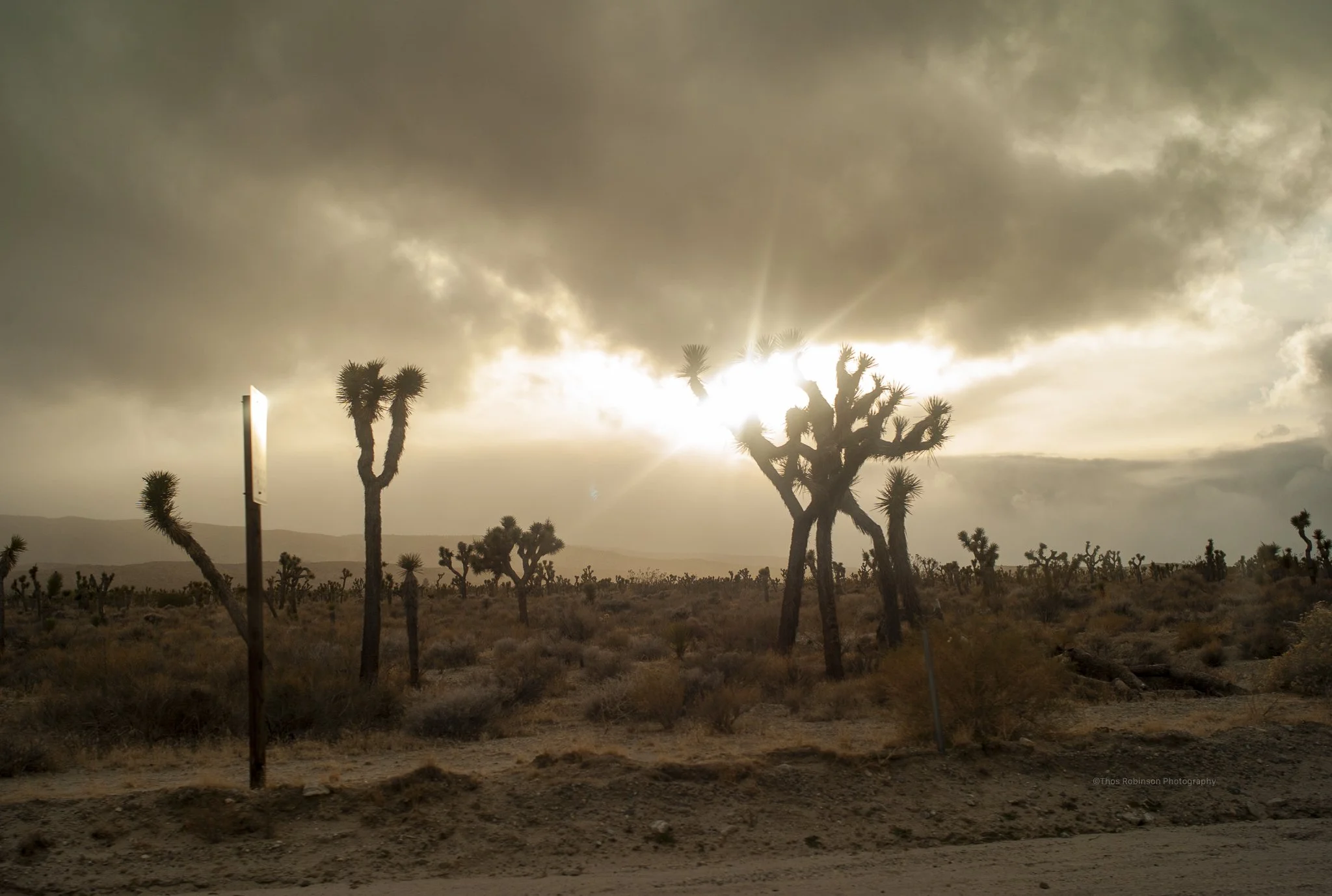  Road Trip, United States of America  