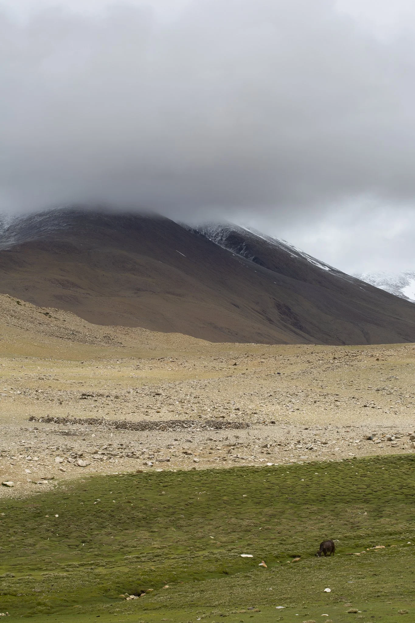  Rupshu Valley, Ladakh 
