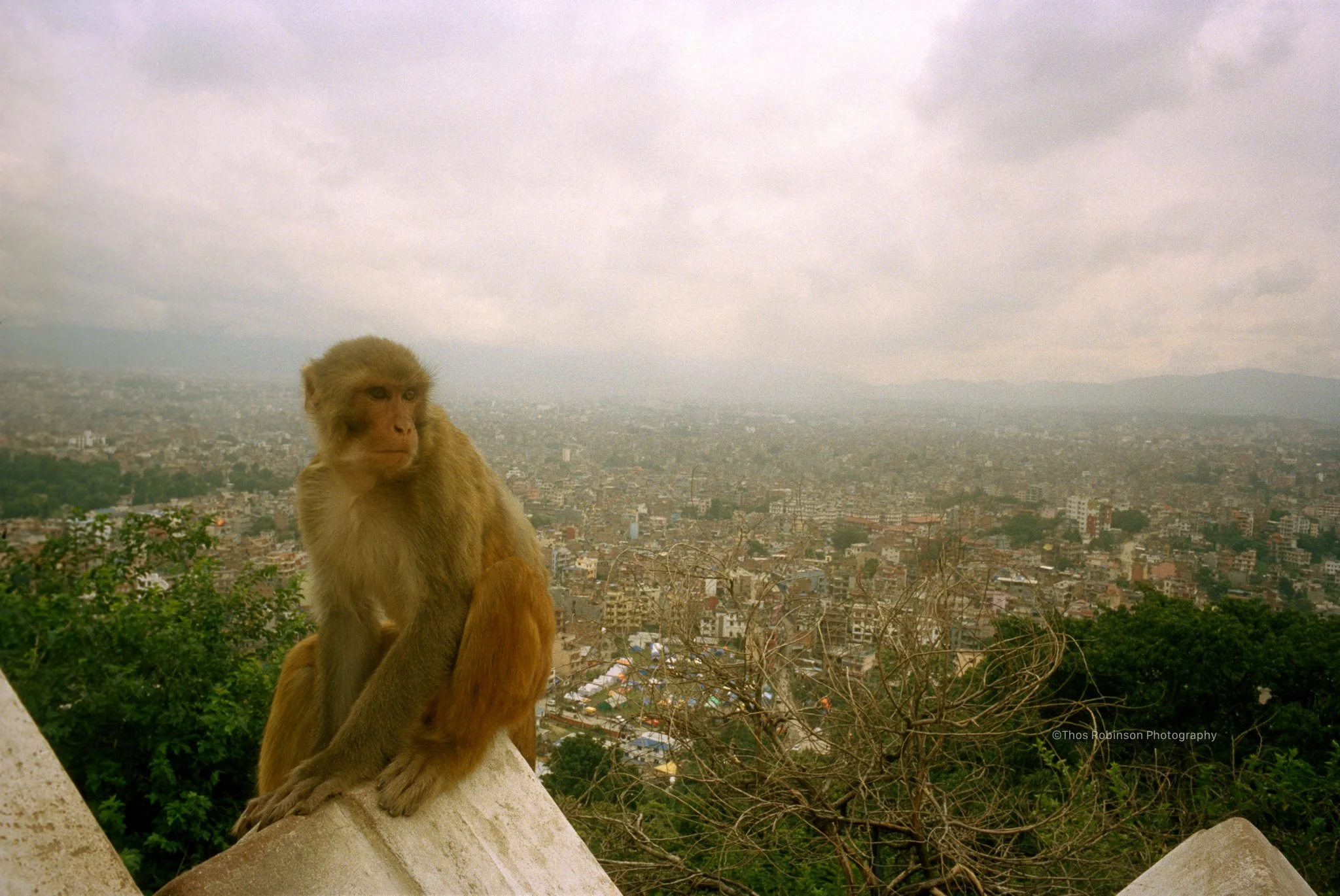  Kathmandu, Nepal  