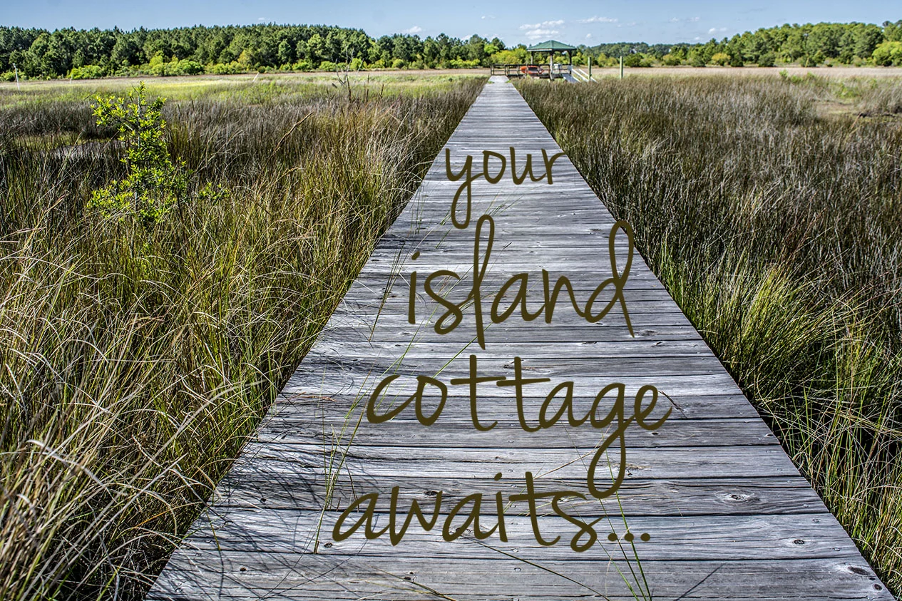 Edisto Island Real Estate