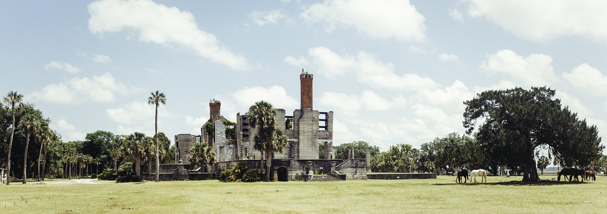 Dungeness ruins + Cumberland Island