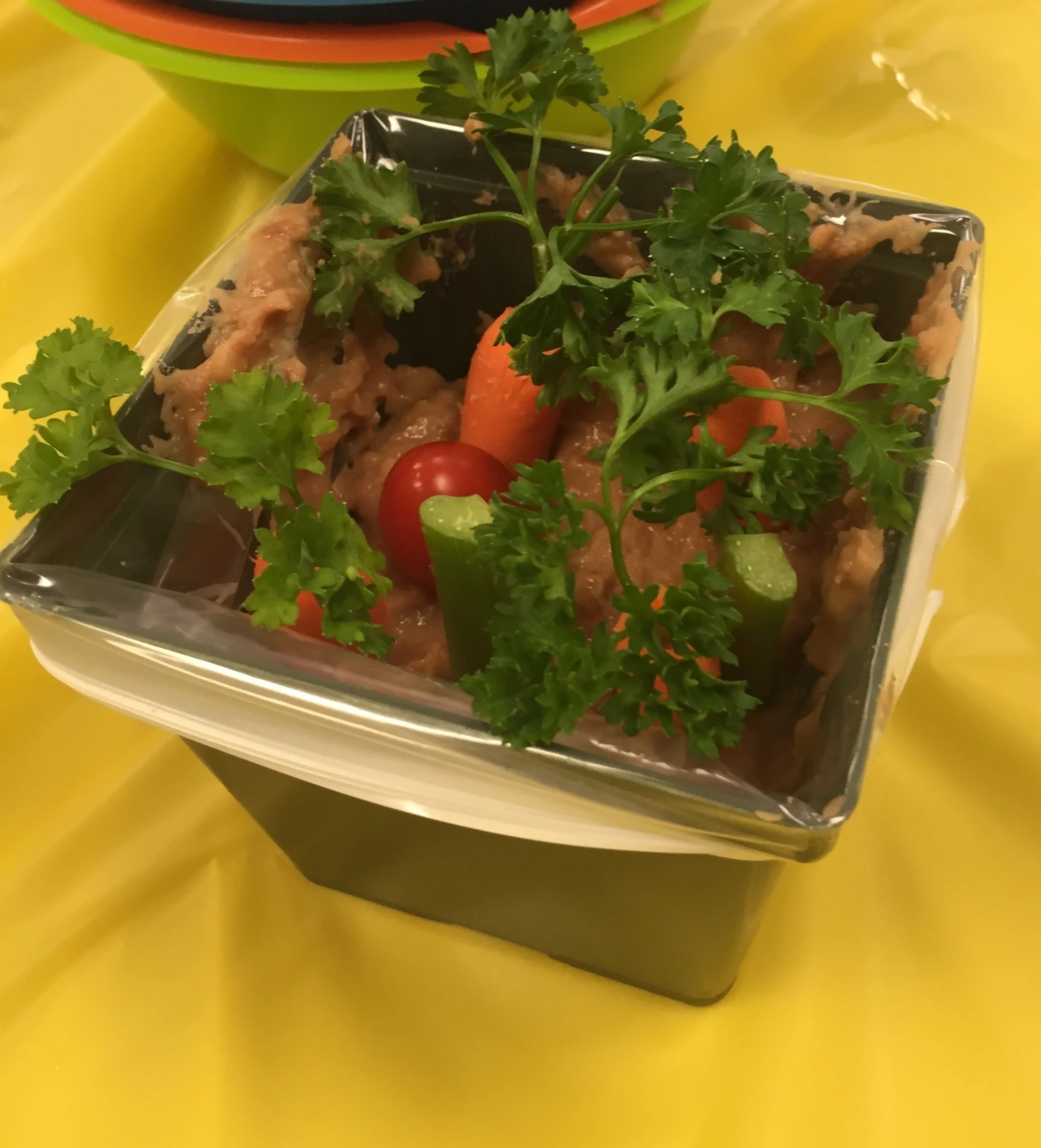 Mini Edible Carrot Garden