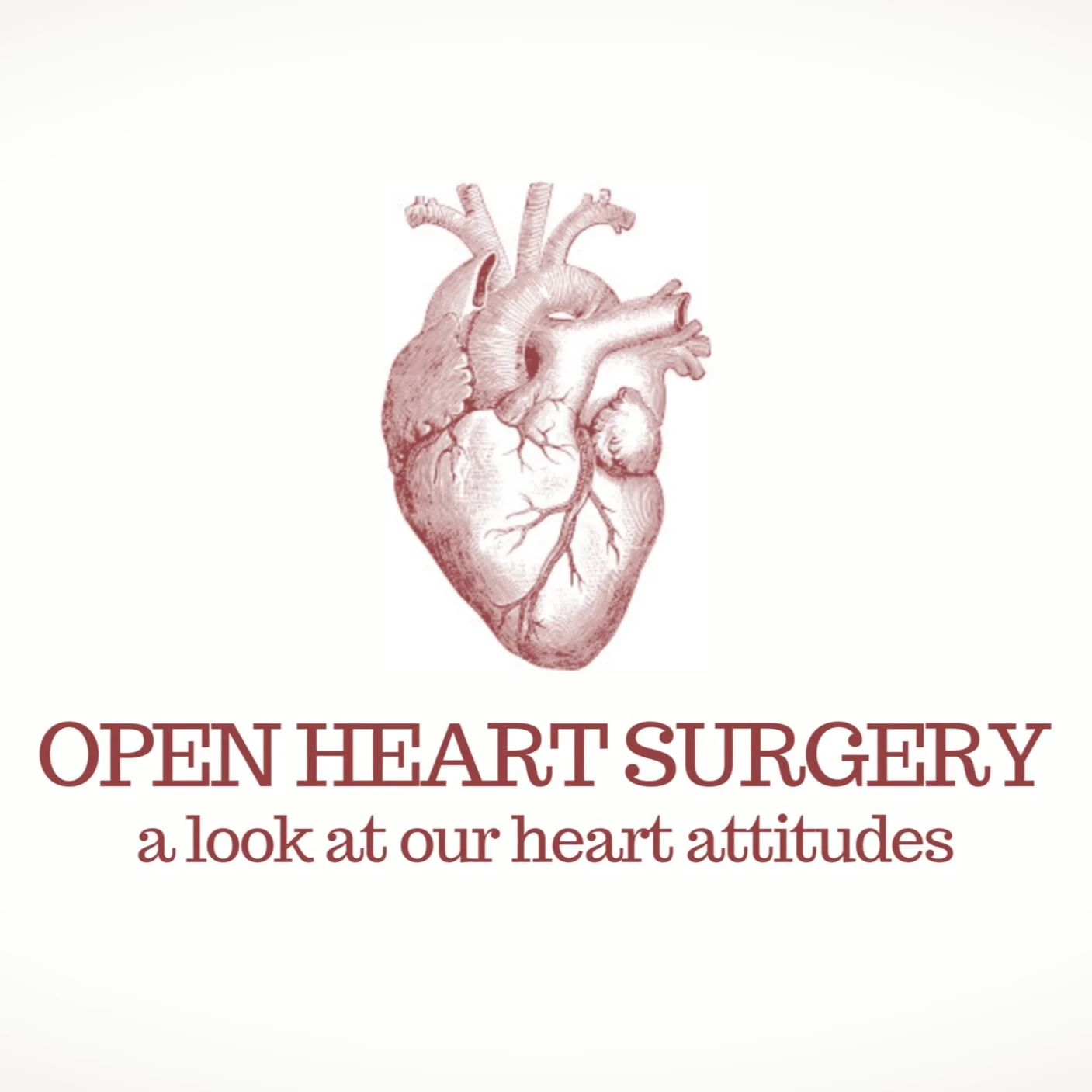 402 Series | Open Heart Surgery (Pt. 1)