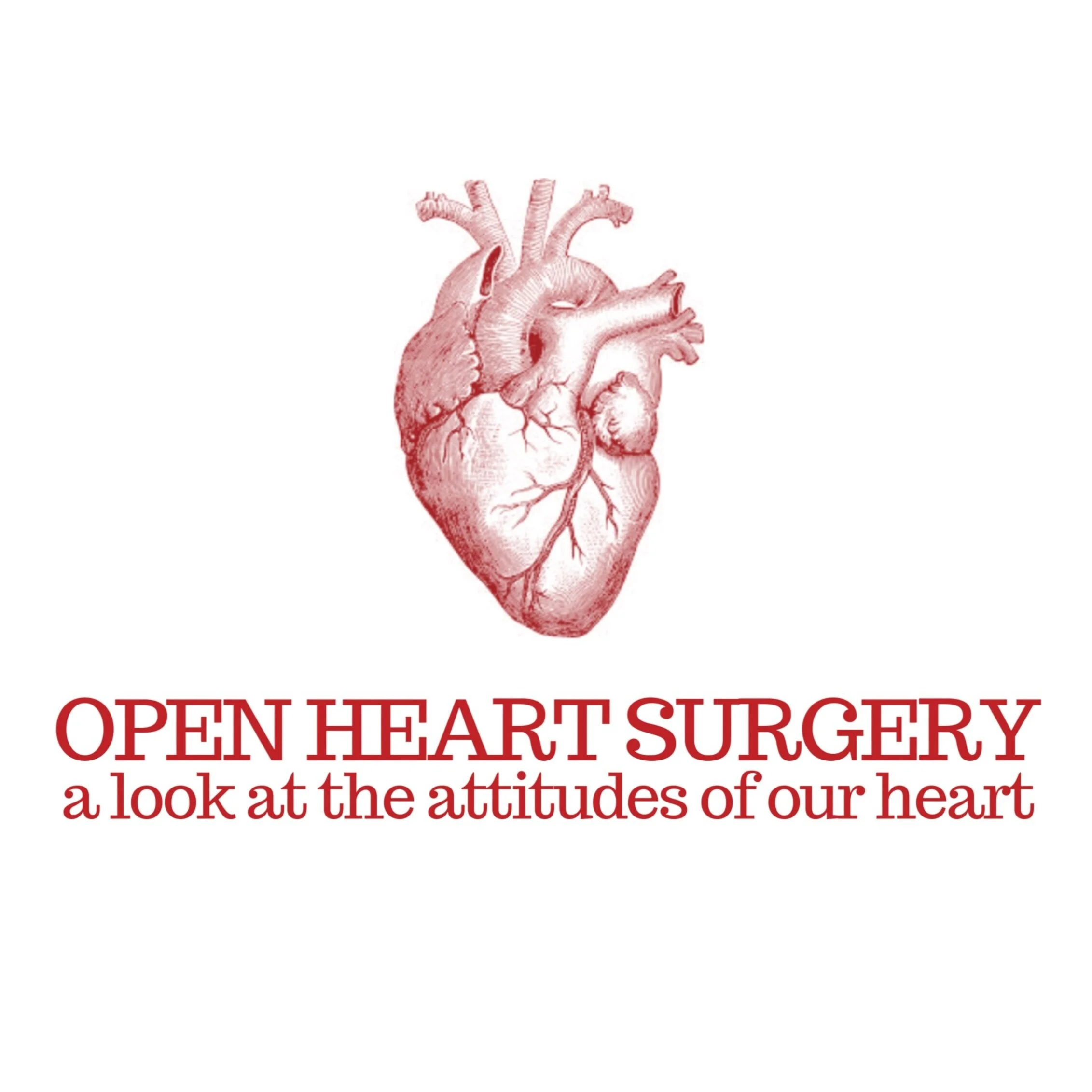 402 Series | Open Heart Surgery (Pt. 3)