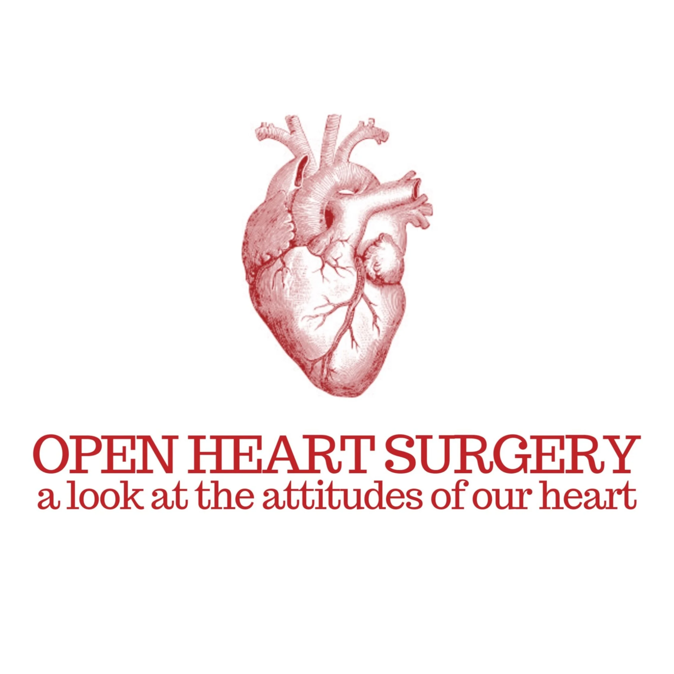 402 Series | Open Heart Surgery (Pt. 4)