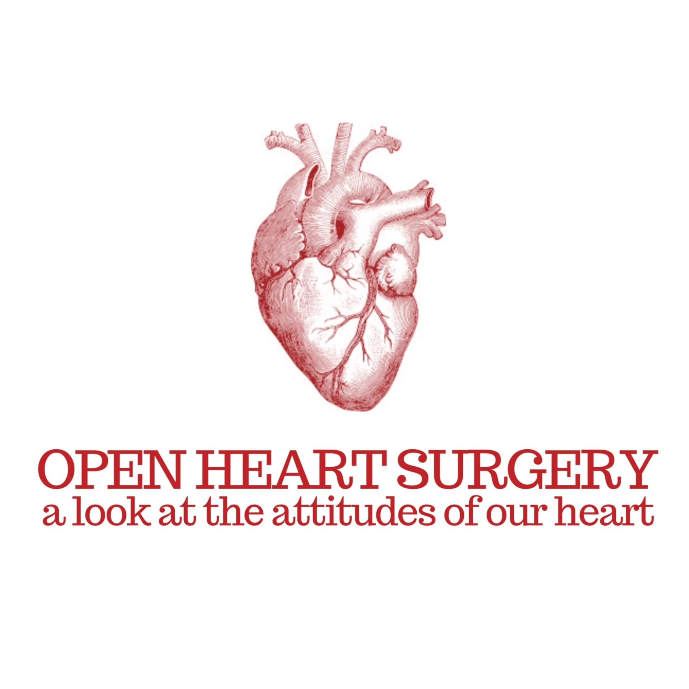 402 Series | Open Heart Surgery (Pt. 5)