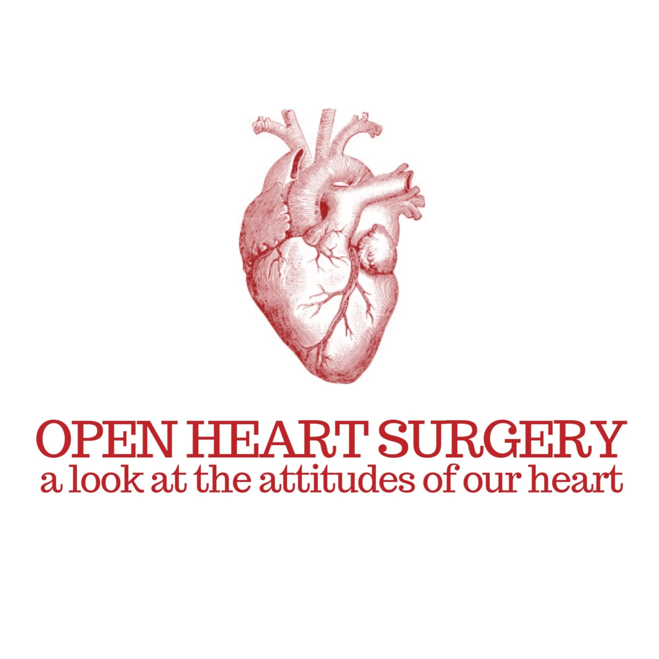 402 Series | Open Heart Surgery (Pt. 6)