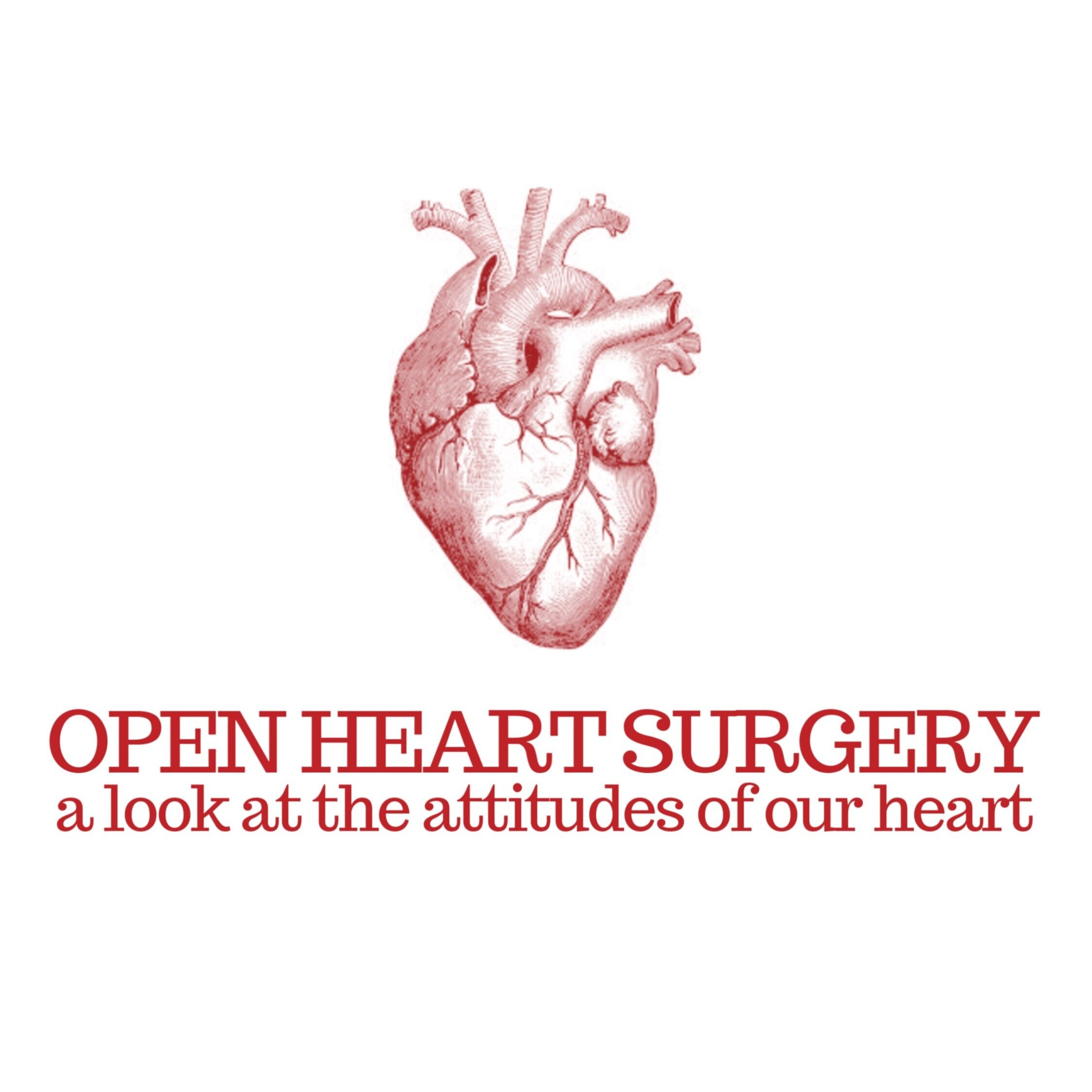 402 Series | Open Heart Surgery (Pt. 7)
