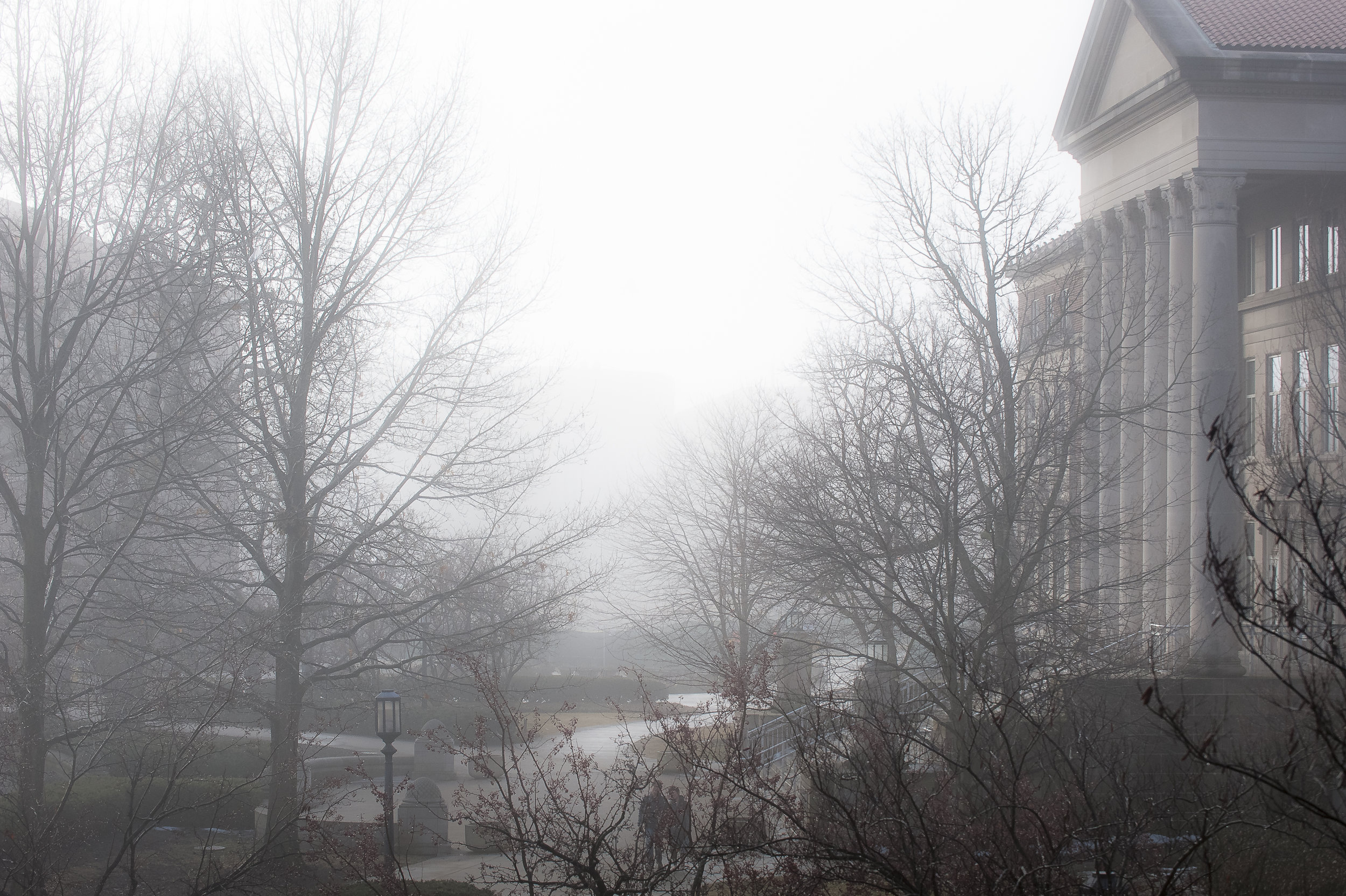 _RJW0555.jpg