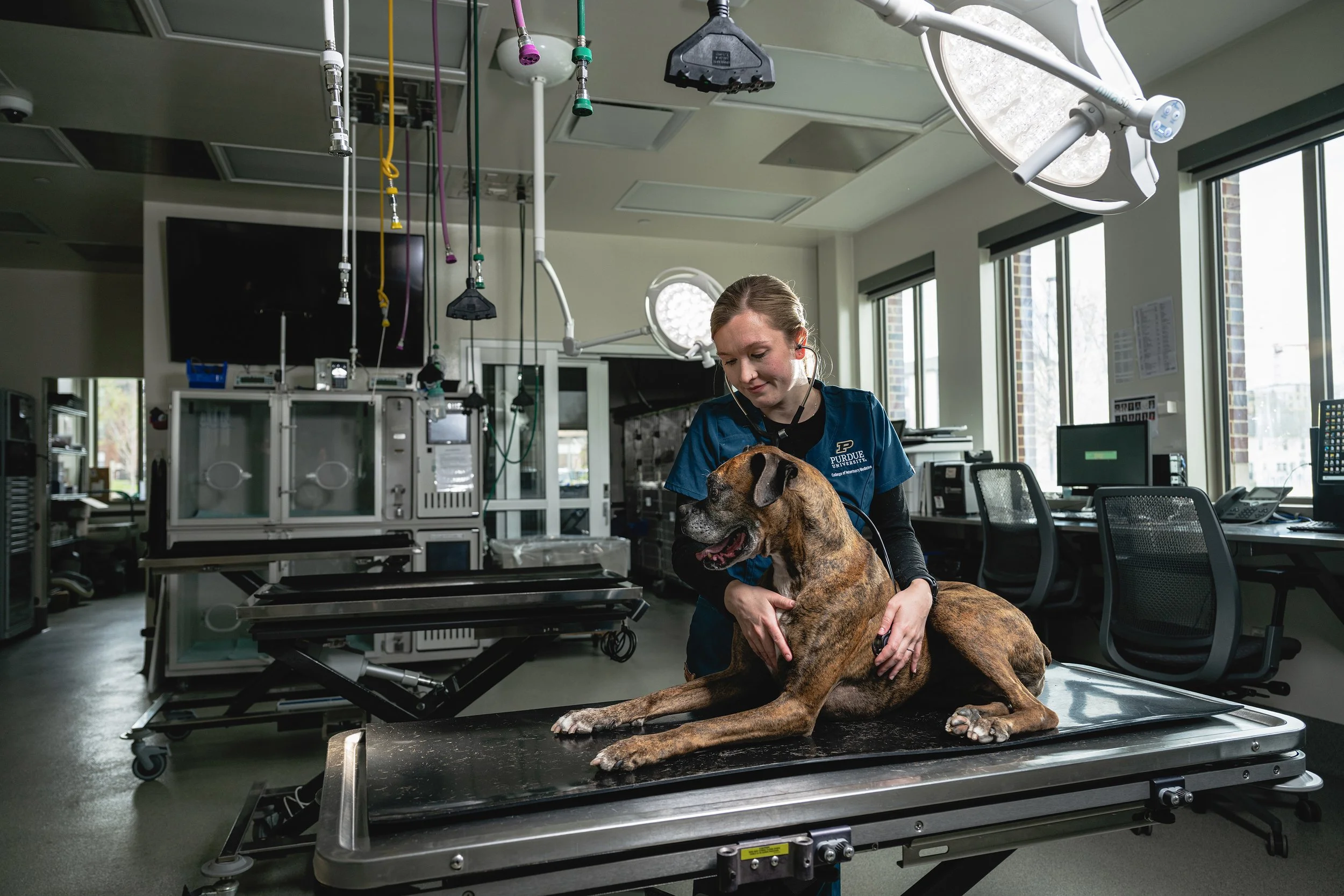 _website_RJR8797 copy.jpg