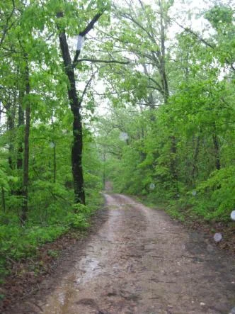 The Path