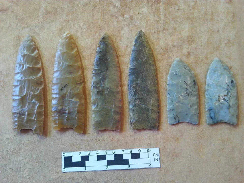 Fox Clovis Points