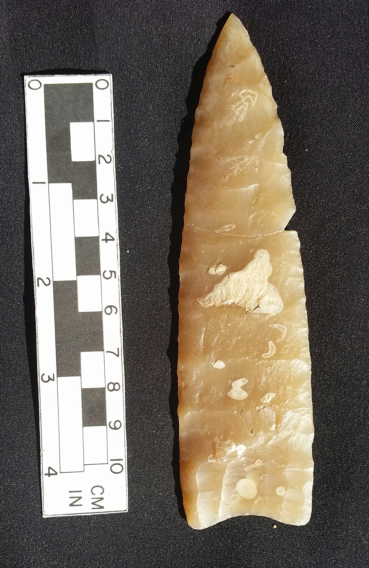 Drake Cache Clovis cast