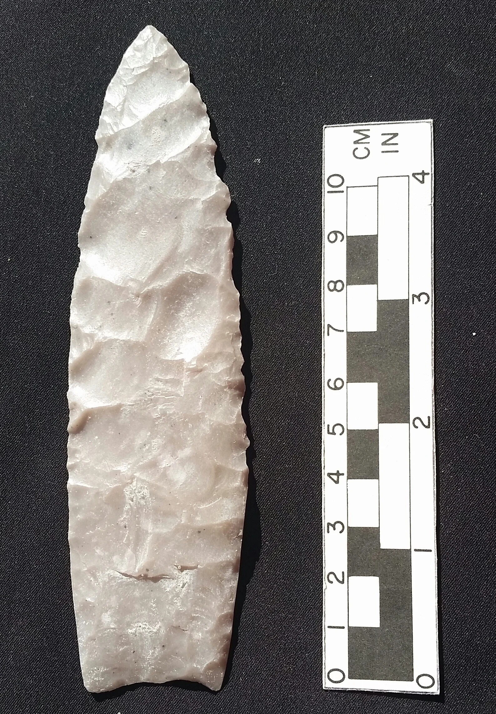 Outstanding Clovis cast from Kansas