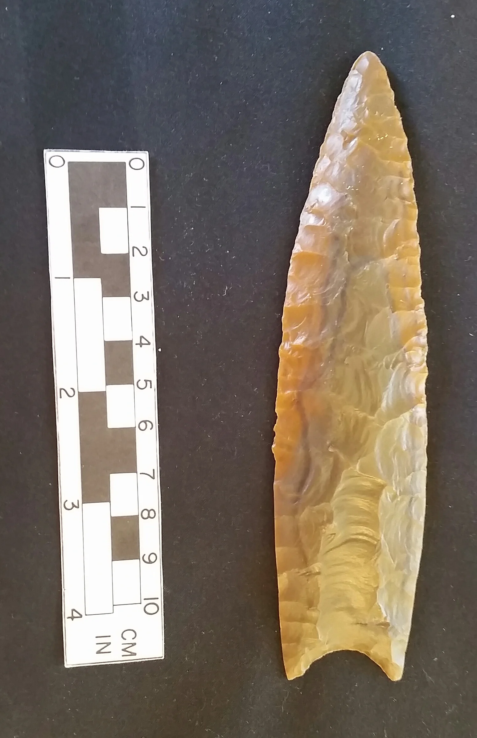Nebraska Clovis cast