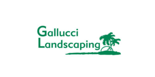 Landscaping marketing ideas in Austin TX