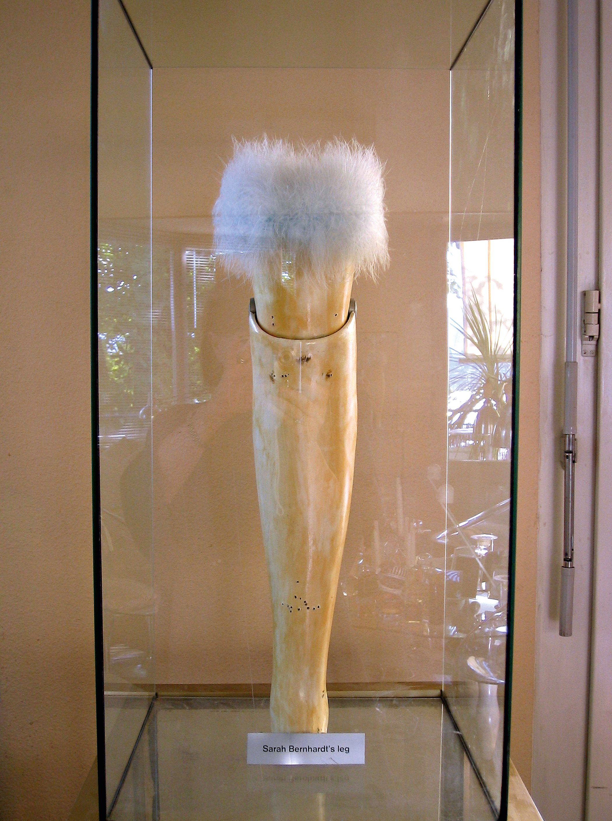 Sarah Bernhardt's Leg 1999