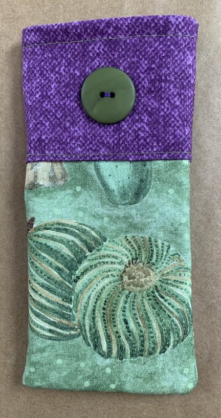 Purple and Green Glasses Case
