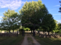Walk straight through the iron gate. 
