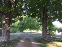Continue down the maple-lined road to the circle, then turn right down the dirt road and take the next left. In Only a short distance you will see the grave on your left. 