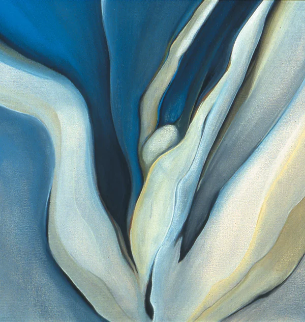 GRAY TULIP 20 x 20 inches, oil on canvas, 2001
