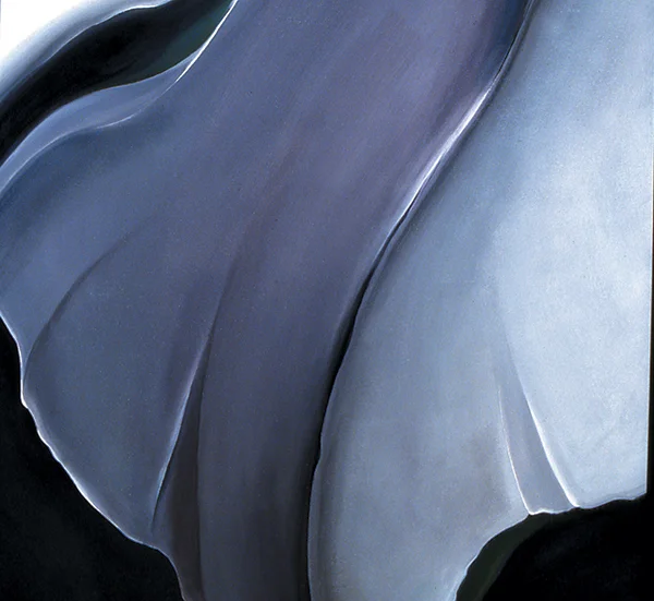 BLACK IRIS PETAL 40 x 40 inches, oil on canvas, 1999