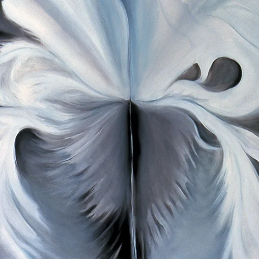 WHITE ORCHID 40 x 40 inches, oil on canvas, 1999