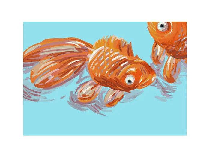 rachelrene_Goldfish detail_2.jpg