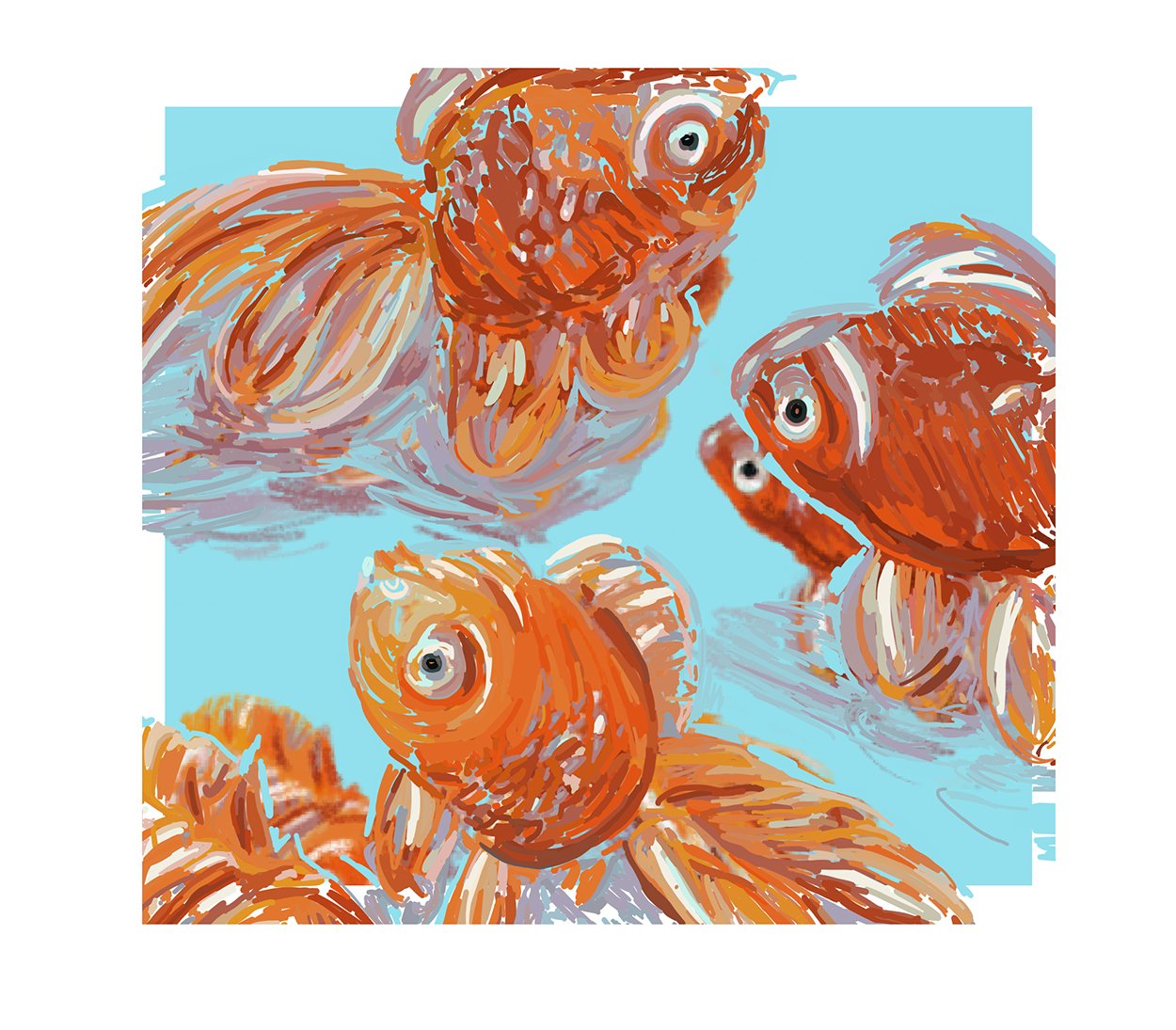 rachelrene_goldfish detail 1.jpg
