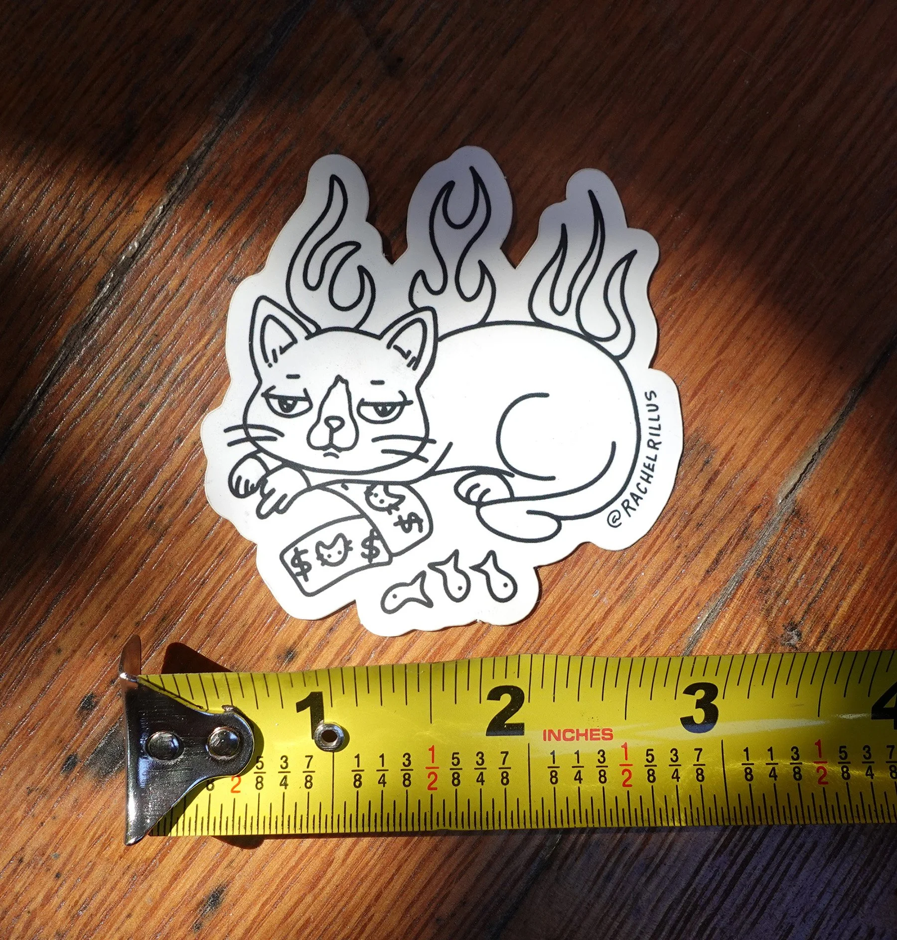 moneycat w ruler.JPG