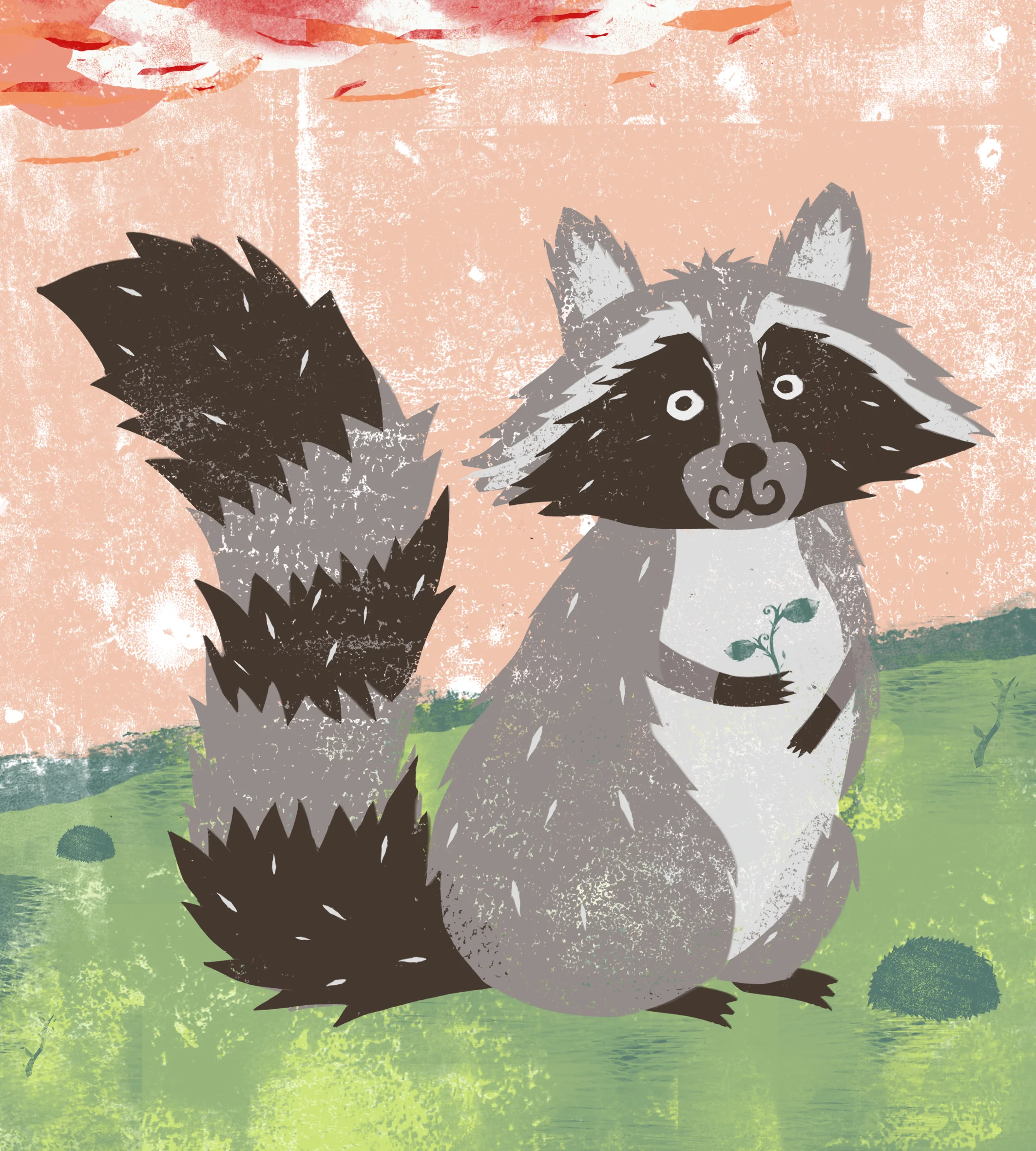 rudy the racoon.jpg