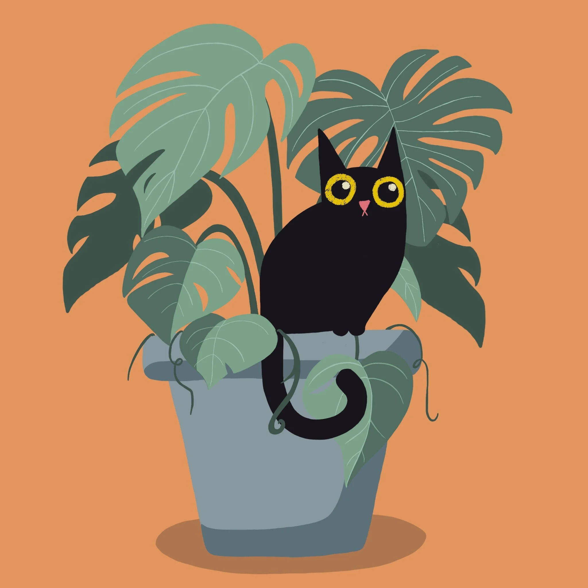 Plant 3.jpg