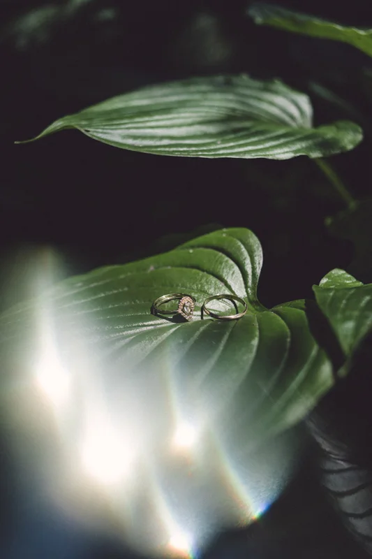 073A7650.jpg