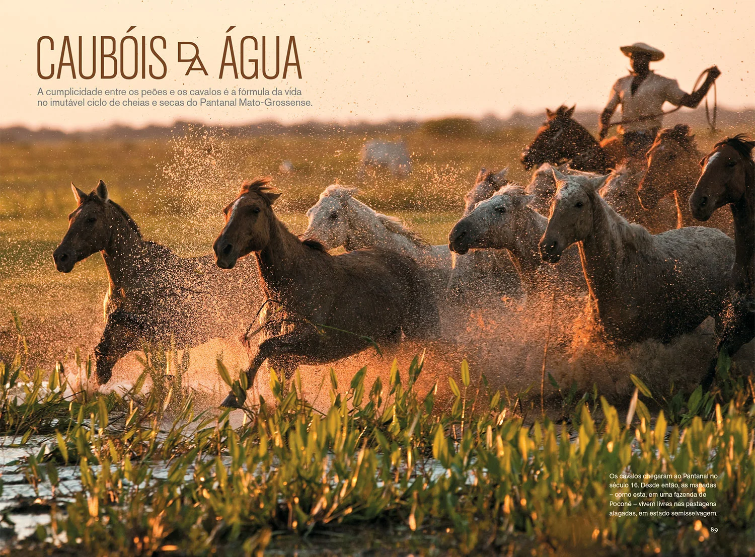 Edição de fotos e design da reportagem Caubóis da água | NG Brasil, maio 2011. Fotos de Izan Petterle