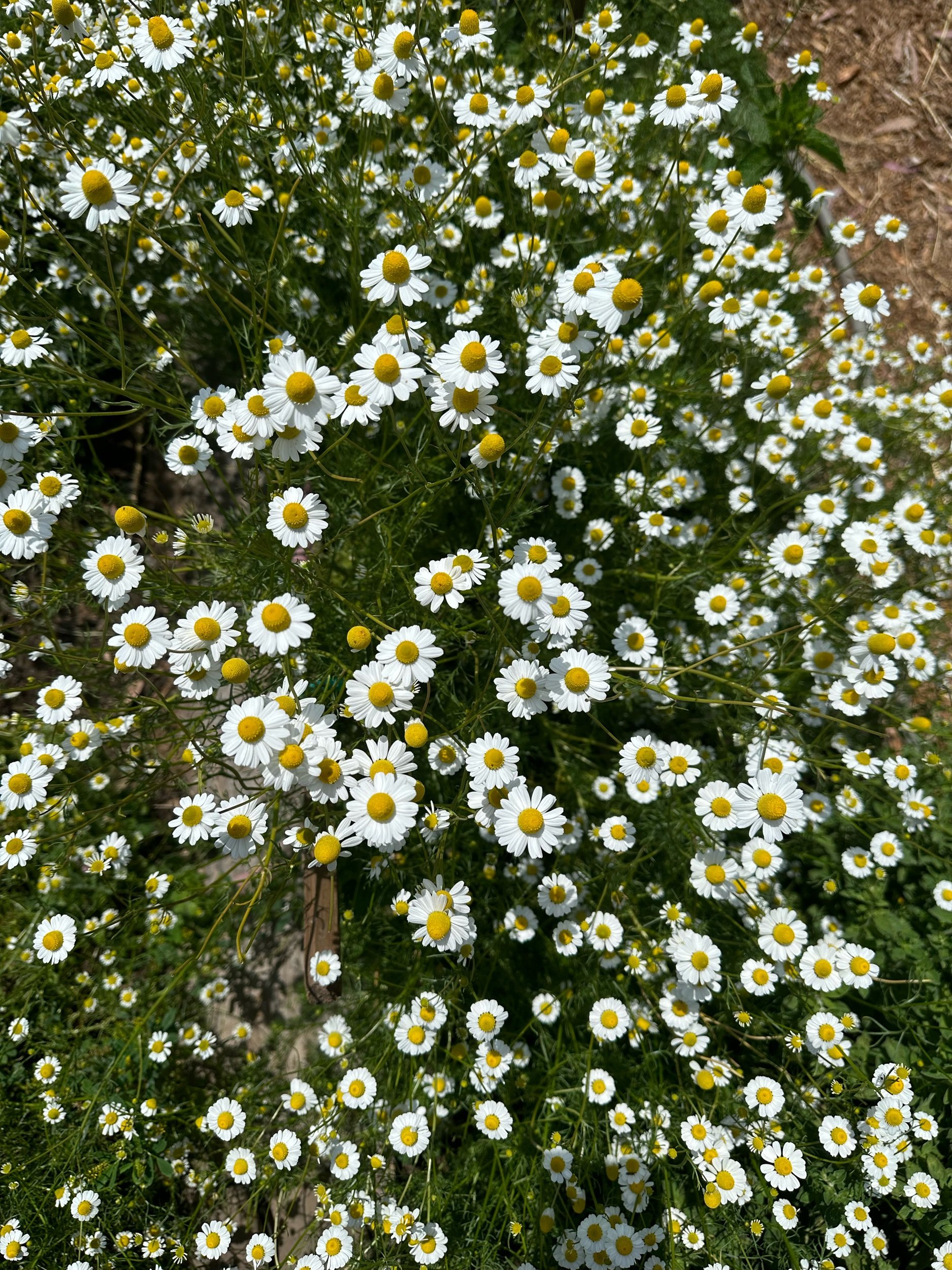 D09C301B-0971-422D-9C94-68D6714674B2.jpeg