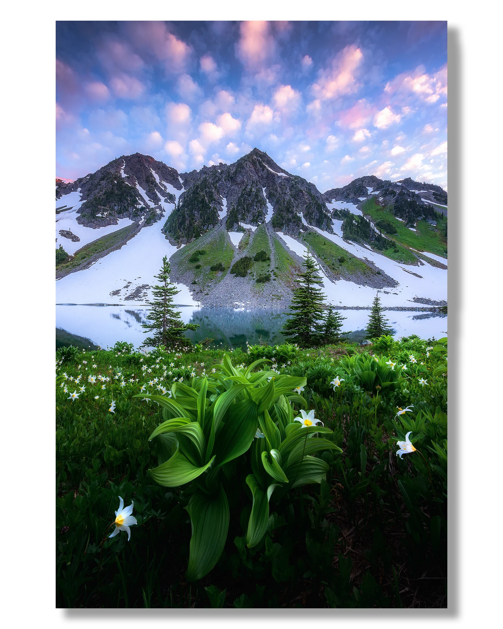 fine-art-photography-4.jpg