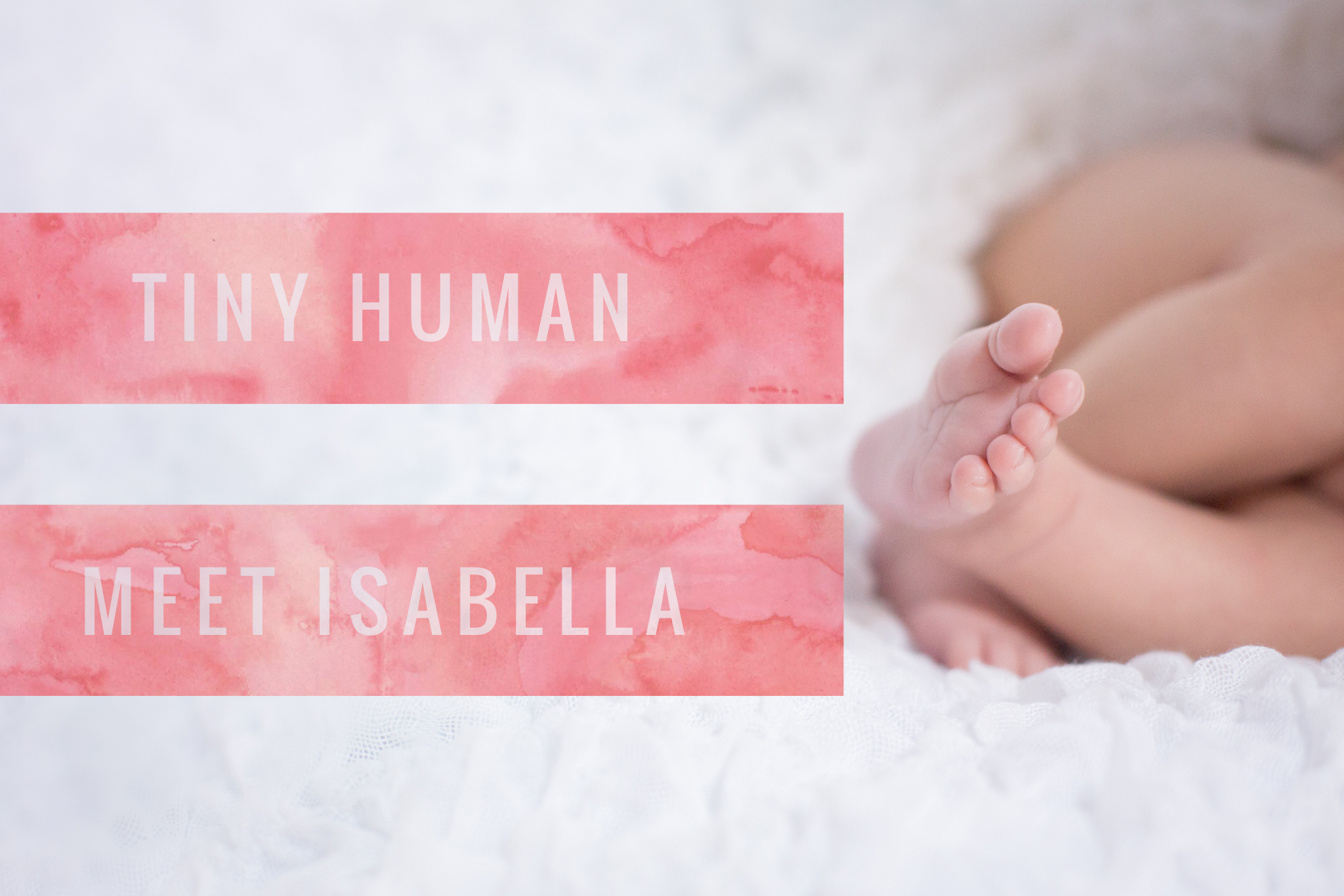 tiny human | meet Isabella