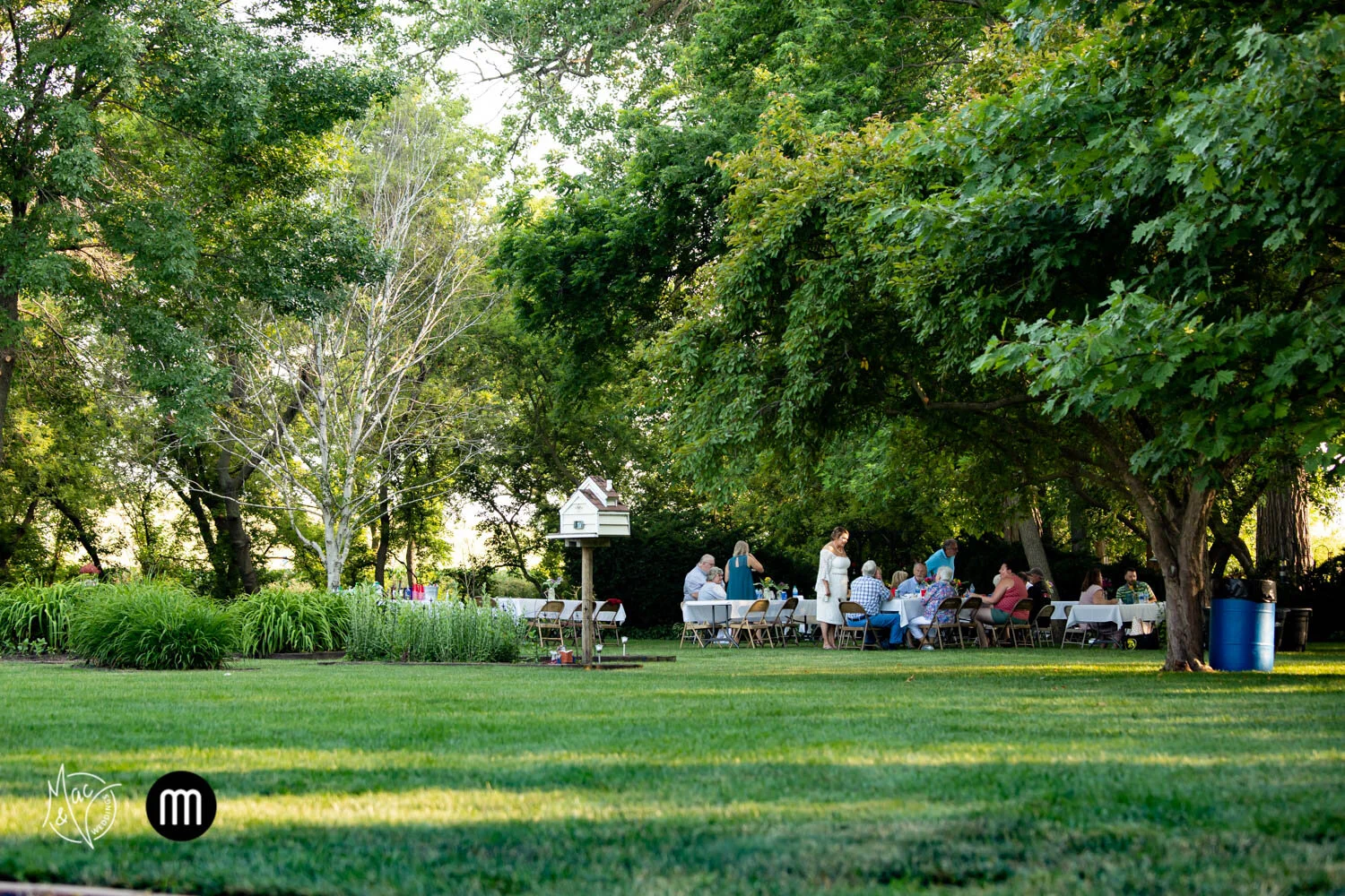 backyardwedding-30.jpg