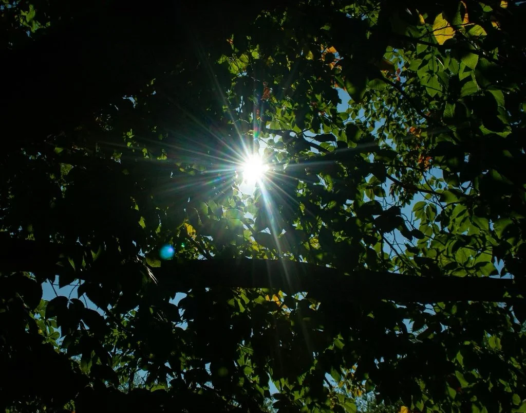 A Shot of Hope