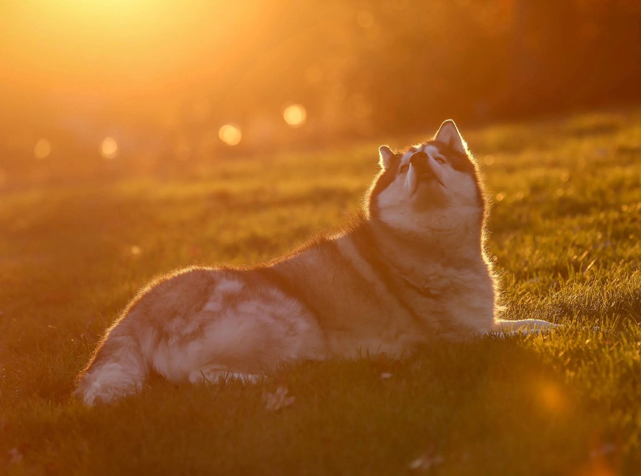 OCT232015_SUNSET.jpg