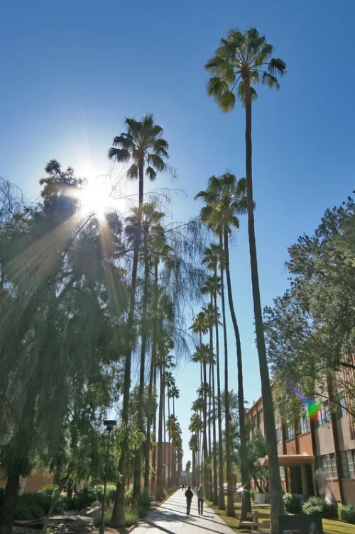 Arizona State University's campus is a beautiful place to take a walk outside. Check it out this month for today's challenge. 