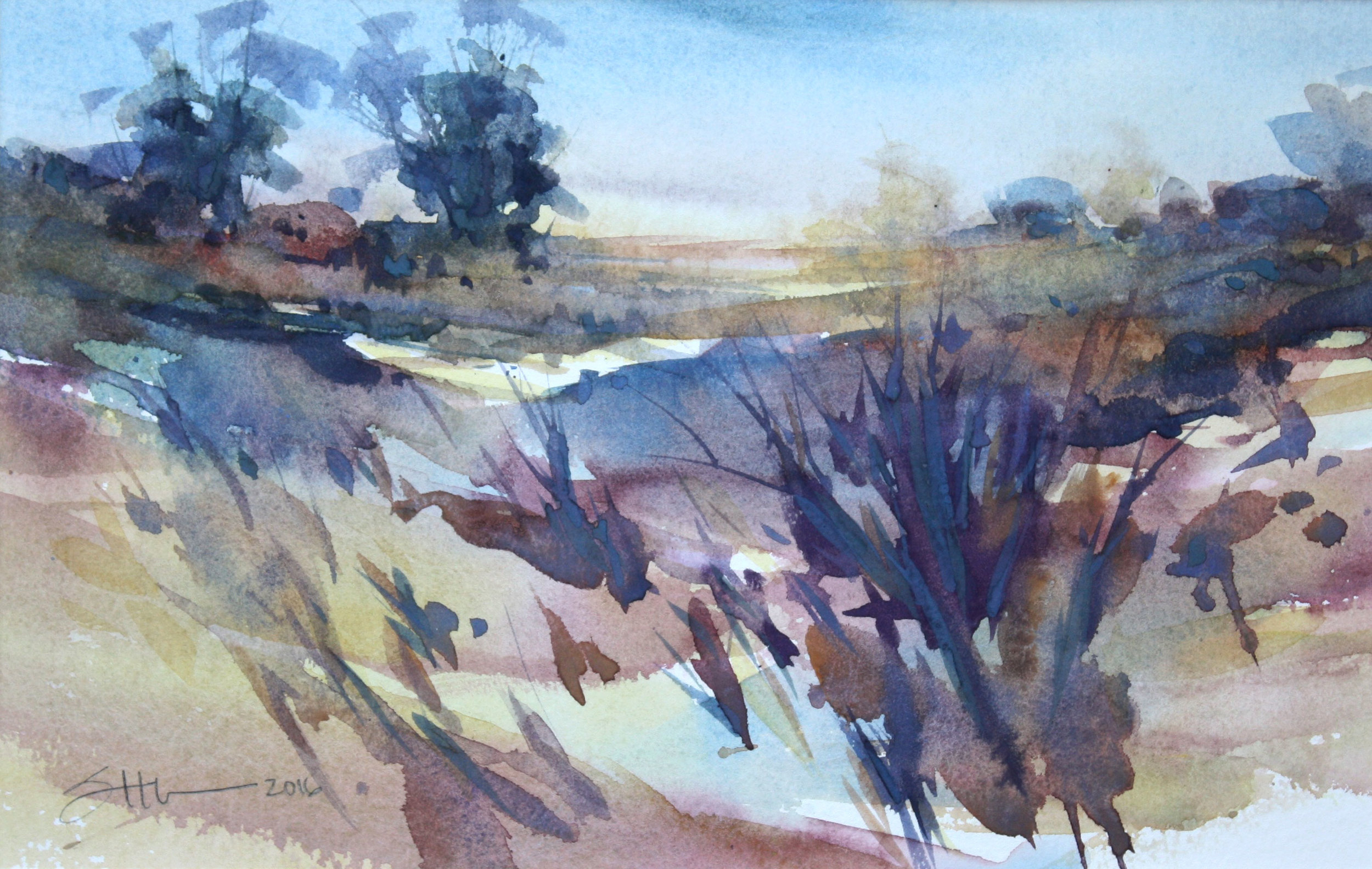 Blue Meadow